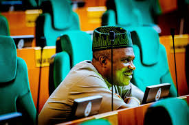 Hon. Sanya Ominrin