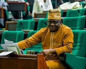 Hon. Wole Oke